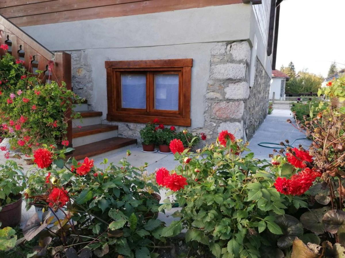 Dana Apartmani Kolašin Exteriér fotografie